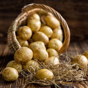 Kartoffeln (Bioland)