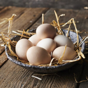 Unsere Eier von regionalen Bio-Betrieben