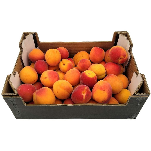 Produktfoto zu 2 kg Einmach-Aprikosen Angebot