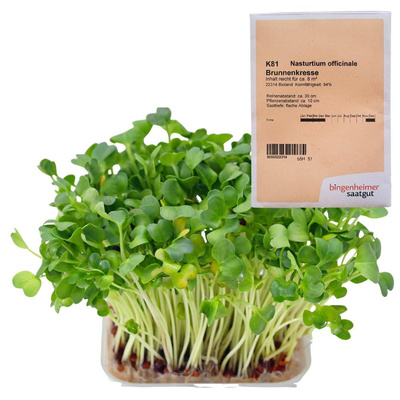 Produktfoto zu Saatgut, Brunnenkresse