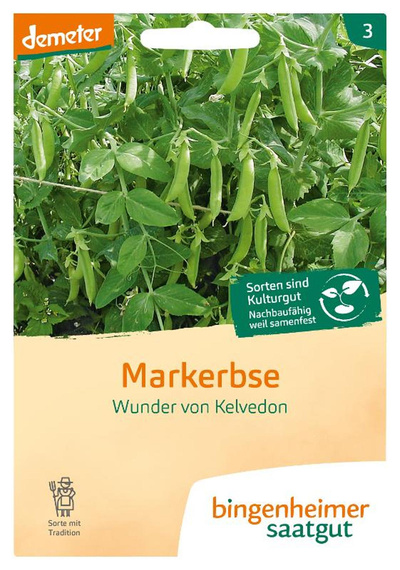 Produktfoto zu Saatgut, Markerbse Wunder von Kelvedon