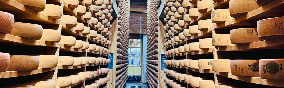 Ökokiste mit Obst und Gemüse