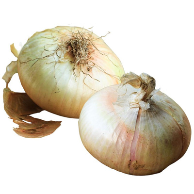 Produktfoto zu Zwiebel Giarratana