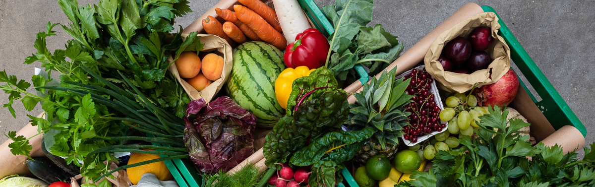 KI generiert: Frisches Obst und Gemüse in Kisten, darunter Melone, Paprika, Karotten und Salat.