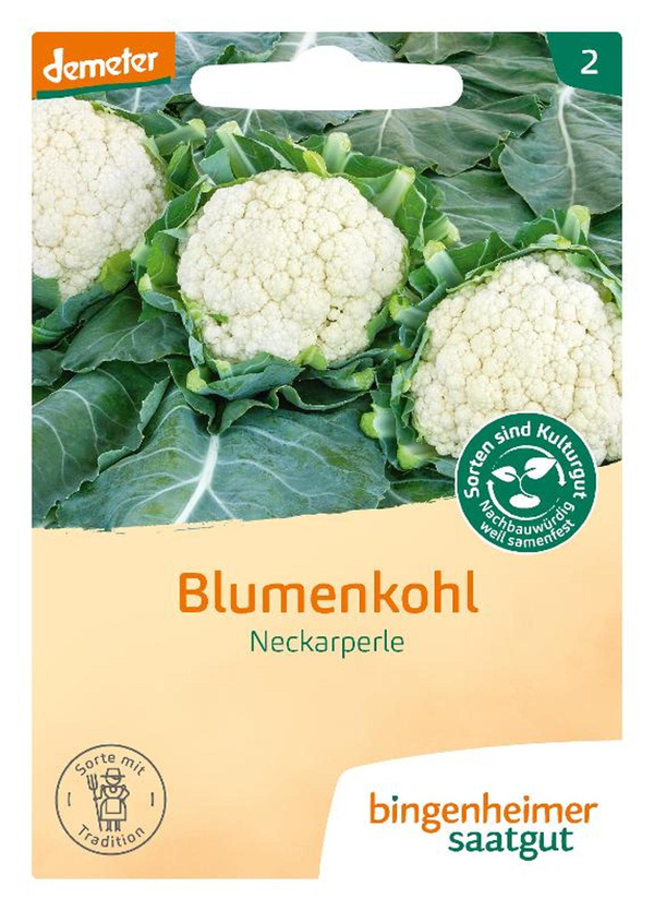 Produktfoto zu Saatgut, Blumenkohl