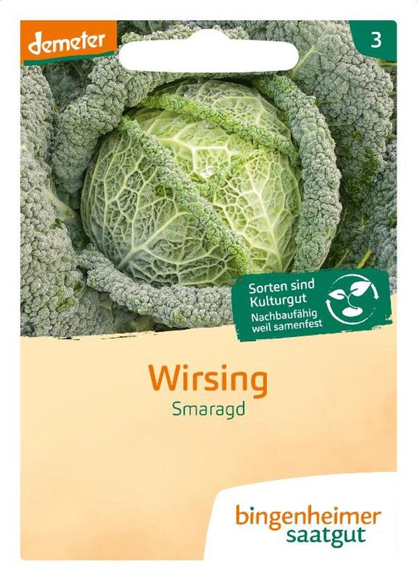 Produktfoto zu Saatgut, Wirsing Smaragd