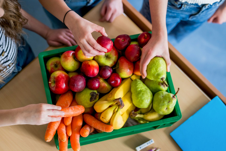 KI generiert: Eine Kiste mit frischem Obst und Gemüse wird von mehreren Händen gegriffen.