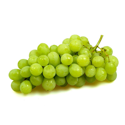 Produktfoto zu 500g Trauben weiß kernlos
