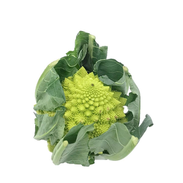 Produktfoto zu Romanesco