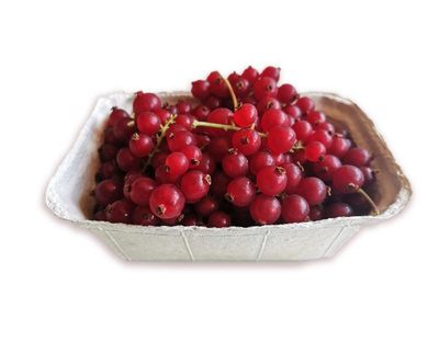 Produktfoto zu Rote Johannisbeeren 250g