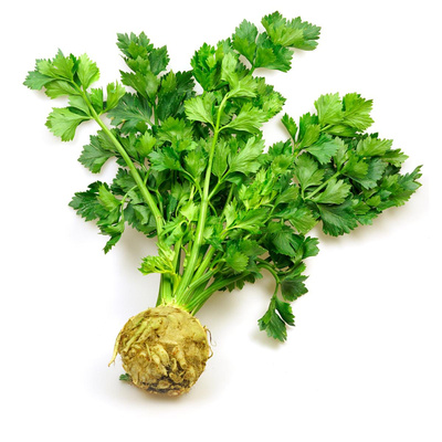 Produktfoto zu Sellerie mit Grün