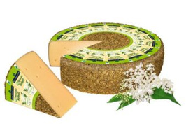 KI generiert: Das Bild zeigt ein großes Käsestück mit einem herausgeschnittenen Teil, wodurch die gelbliche Innenstruktur sichtbar wird. Der Hauptinhalt des Bildes ist der Käse.