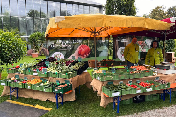 KI generiert: Das Bild zeigt zwei Personen in grüner Arbeitskleidung, die lächelnd eine Kiste mit frischem Obst und Gemüse halten. Im Hintergrund sind weitere Kisten mit Tomaten, Äpfeln und Salat zu sehen, was auf ein Lager oder eine Verkaufsstelle für frische Lebensmittel hinweist.