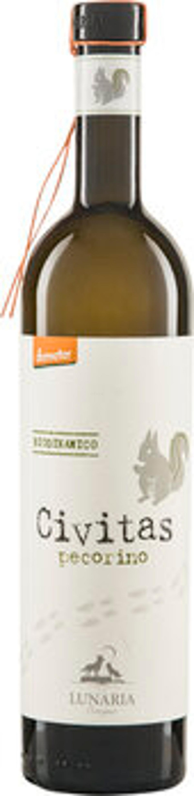 Produktfoto zu CIVITAS Pecorino Terre di Chieti IGP 0,75l