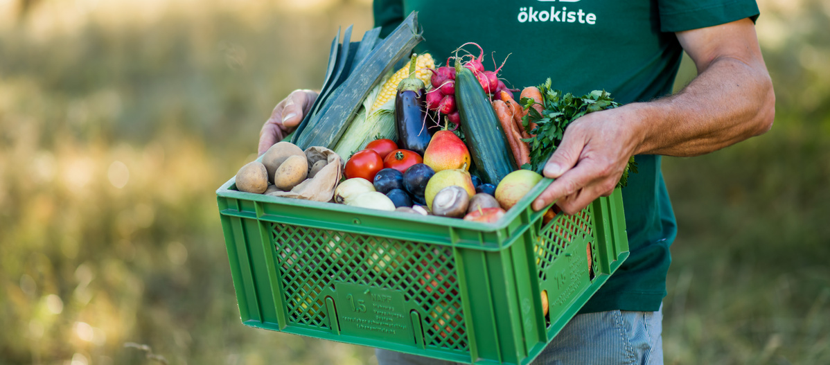 Ökokiste mit Obst und Gemüse