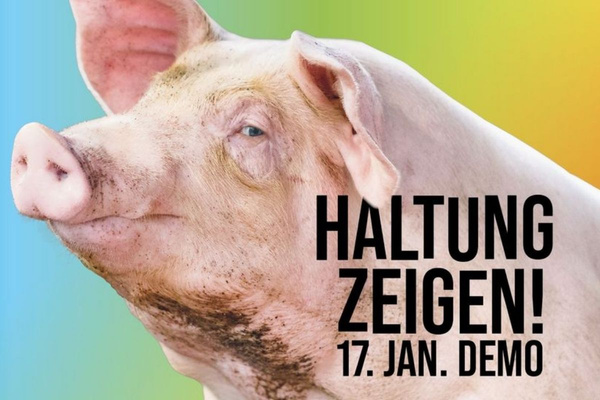 KI generiert: Das Bild zeigt mehrere junge Keimlinge, die in Erde gepflanzt sind. Der Hauptinhalt des Bildes ist das frische Wachstum der Pflanzen.