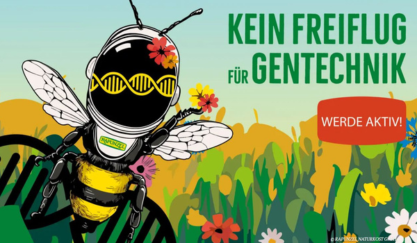 KI generiert: Das Bild zeigt ein hölzernes Brett mit einer Auswahl an verschiedenen Käsesorten, Trauben, Nüssen und Baguettescheiben. Daneben stehen zwei Weingläser, eines davon mit Rotwein gefüllt.