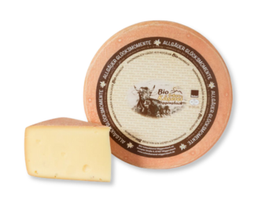 KI generiert: Das Bild zeigt ein großes Käsestück mit einem herausgeschnittenen Teil, wodurch die gelbliche Innenstruktur sichtbar wird. Der Hauptinhalt des Bildes ist der Käse.