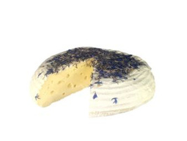 KI generiert: Ein halber Käseleib mit Kräutern bestreut, angeschnitten, auf weißem Hintergrund.