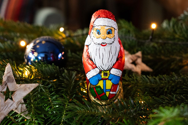 KI generiert: Das Bild zeigt mehrere junge Keimlinge, die in Erde gepflanzt sind. Der Hauptinhalt des Bildes ist das frische Wachstum der Pflanzen.