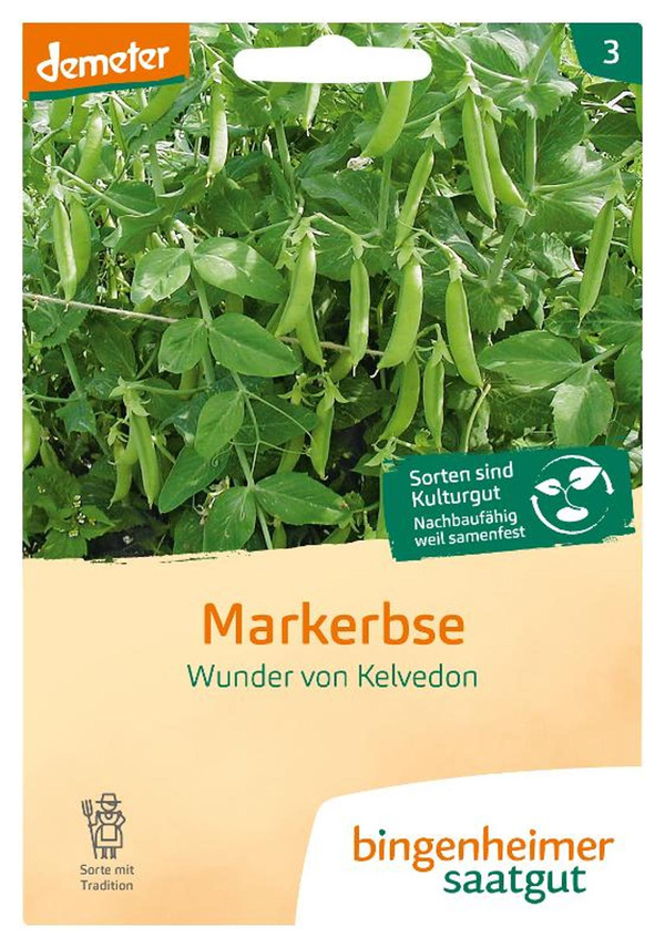 Produktfoto zu Saatgut, Markerbse Wunder von Kelvedon