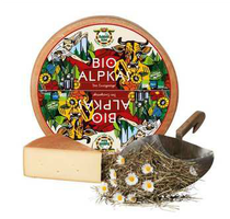 KI generiert: Ein Käselaib und ein Stück Käse; daneben ein Milchkanne mit Heu und Blumen. Text: "BIO ALPKÄSE".