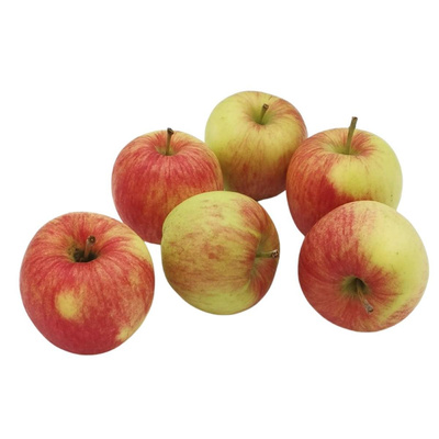 Produktfoto zu Früh-Äpfel Summercrisp (süß-säuerlich)