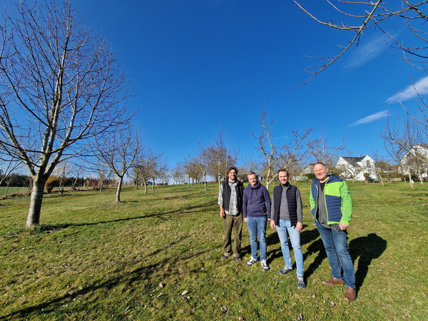 KI generiert: Vier Personen stehen auf einer Wiese mit Bäumen unter einem klaren blauen Himmel.