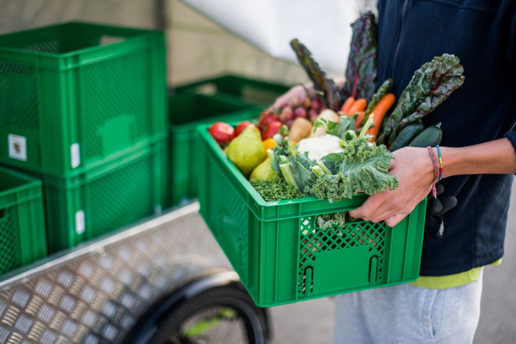 KI generiert: Eine Person hält eine grüne Kiste voller frischem Obst und Gemüse.