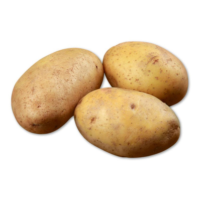 Produktfoto zu Große Frühkartoffel vorwiegend festkochend