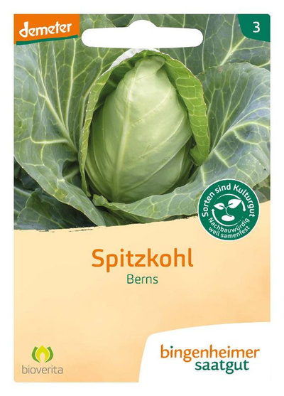 Produktfoto zu Saatgut, Spitzkohl Berns
