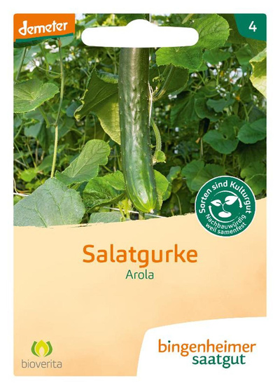 Produktfoto zu Saatgut, Salatgurke Arola