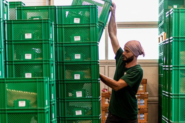 KI generiert: Das Bild zeigt zwei Personen in grüner Arbeitskleidung, die lächelnd eine Kiste mit frischem Obst und Gemüse halten. Im Hintergrund sind weitere Kisten mit Tomaten, Äpfeln und Salat zu sehen, was auf ein Lager oder eine Verkaufsstelle für frische Lebensmittel hinweist.