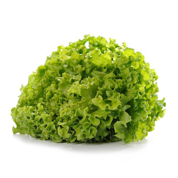 Produktfoto zu Bataviasalat grün