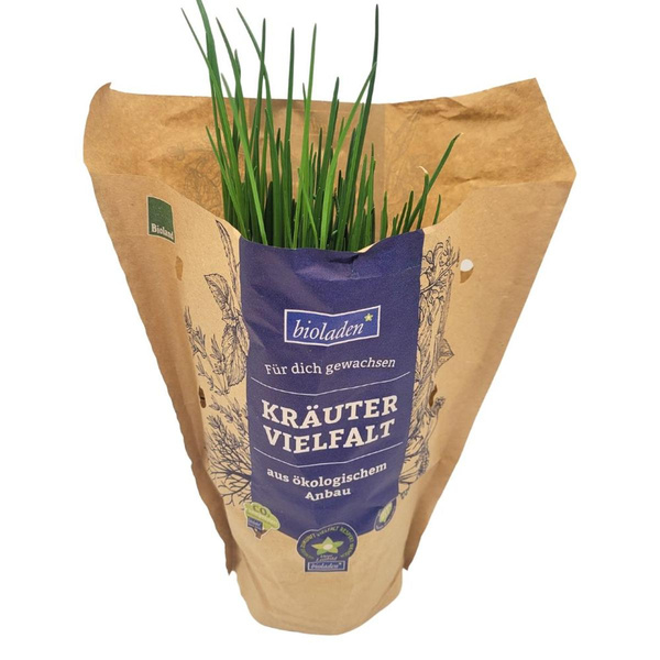 Produktfoto zu Schnittlauch Topf