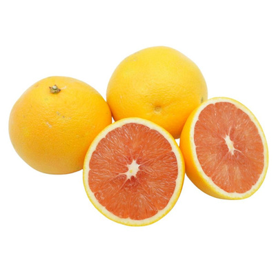 Produktfoto zu Frührose Orangen "Red Lina"