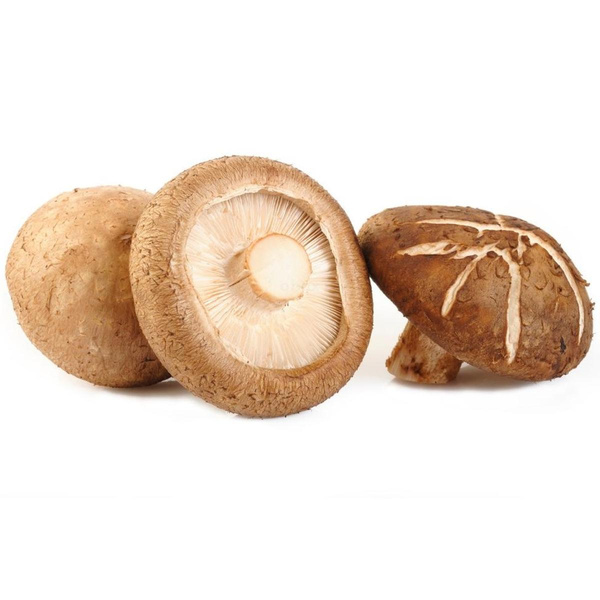 Produktfoto zu Portobello