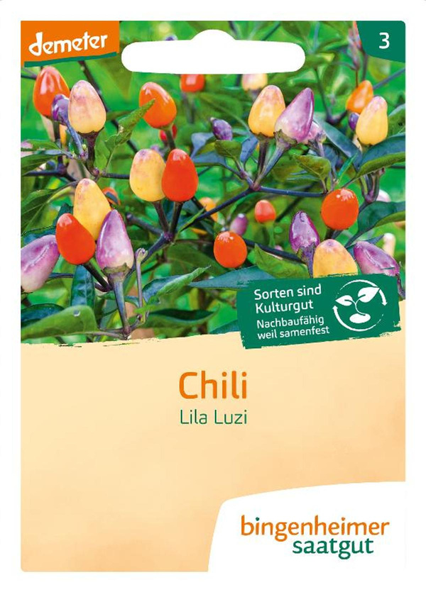Produktfoto zu Saatgut, Chili Lila Luzi
