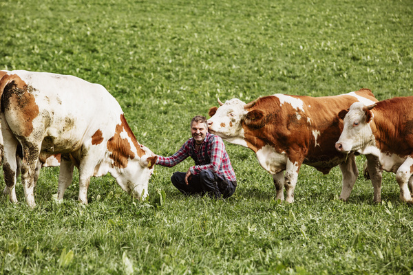 KI generiert: Das Bild bewirbt das 30-jährige Jubiläum eines Unternehmens und bietet die Chance, 30 Mal 3 Gewürzmischungen zu gewinnen. Es zeigt zudem eine Speise als Anregung, mit den bereitgestellten Rezepten zu kochen.