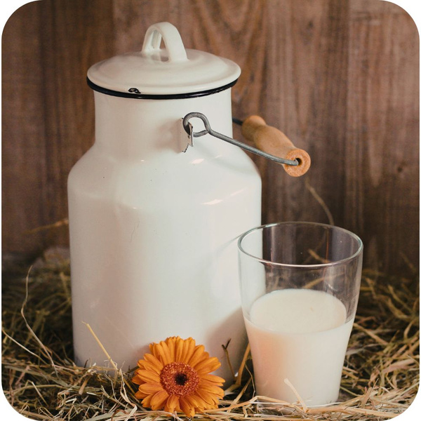 KI generiert: Eine Milchkanne und ein Glas Milch auf Heu mit einer Blume daneben.