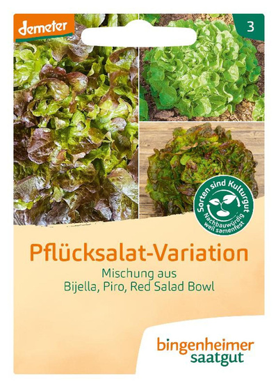 Produktfoto zu Saatgut, Pflücksalat-Variation