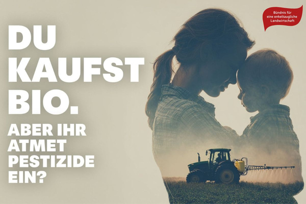 KI generiert: Das Bild zeigt mehrere junge Keimlinge, die in Erde gepflanzt sind. Der Hauptinhalt des Bildes ist das frische Wachstum der Pflanzen.