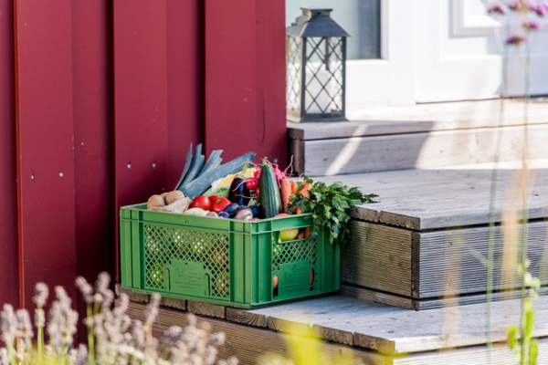 KI generiert: Das Bild zeigt zwei Personen in grüner Arbeitskleidung, die lächelnd eine Kiste mit frischem Obst und Gemüse halten. Im Hintergrund sind weitere Kisten mit Tomaten, Äpfeln und Salat zu sehen, was auf ein Lager oder eine Verkaufsstelle für frische Lebensmittel hinweist.
