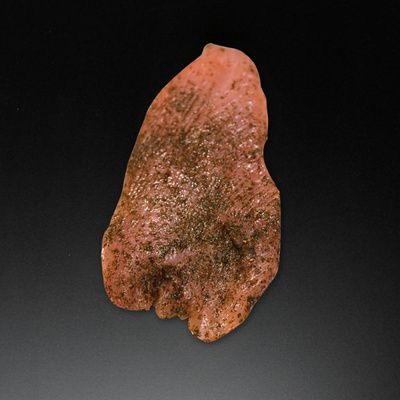 Produktfoto zu Bärlauchfleckerl Pute 300g