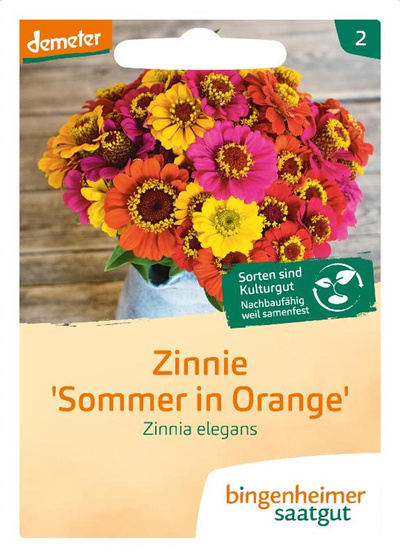 Produktfoto zu Saatgut, Zinnie 'Sommer in Orange'