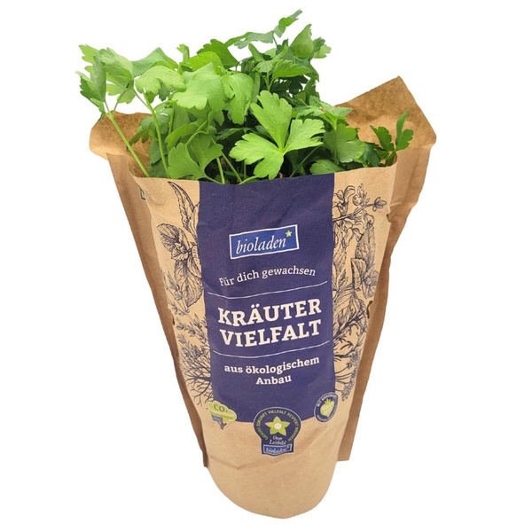 Produktfoto zu Petersilie Topf