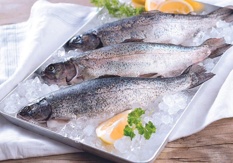 Fisch KW 14, Fischzucht Wagner