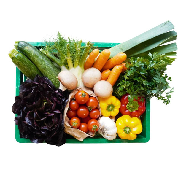 Quer durchs Beet groß