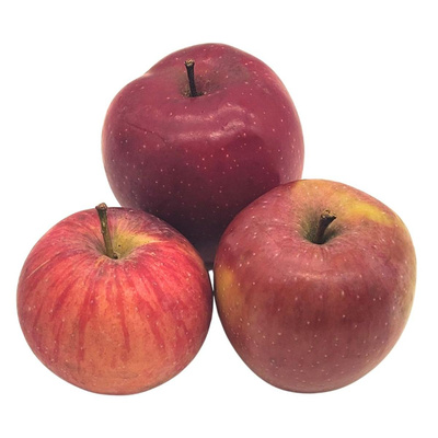 Produktfoto zu Äpfel Gloster