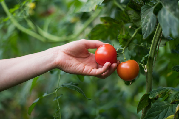 KI generiert: Das Bild bewirbt das 30-jährige Jubiläum eines Unternehmens und bietet die Chance, 30 Mal 3 Gewürzmischungen zu gewinnen. Es zeigt zudem eine Speise als Anregung, mit den bereitgestellten Rezepten zu kochen.
